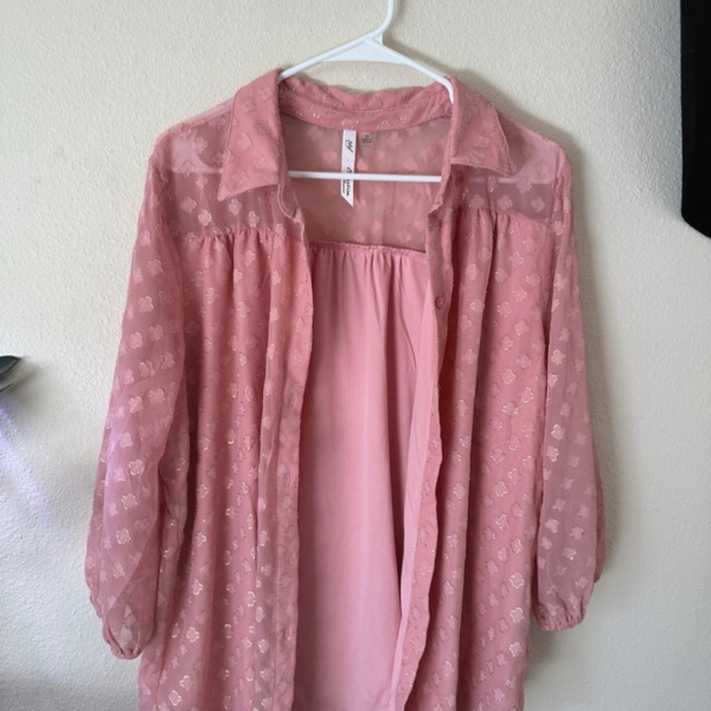 Pink Sheer Button-Up Blouse
